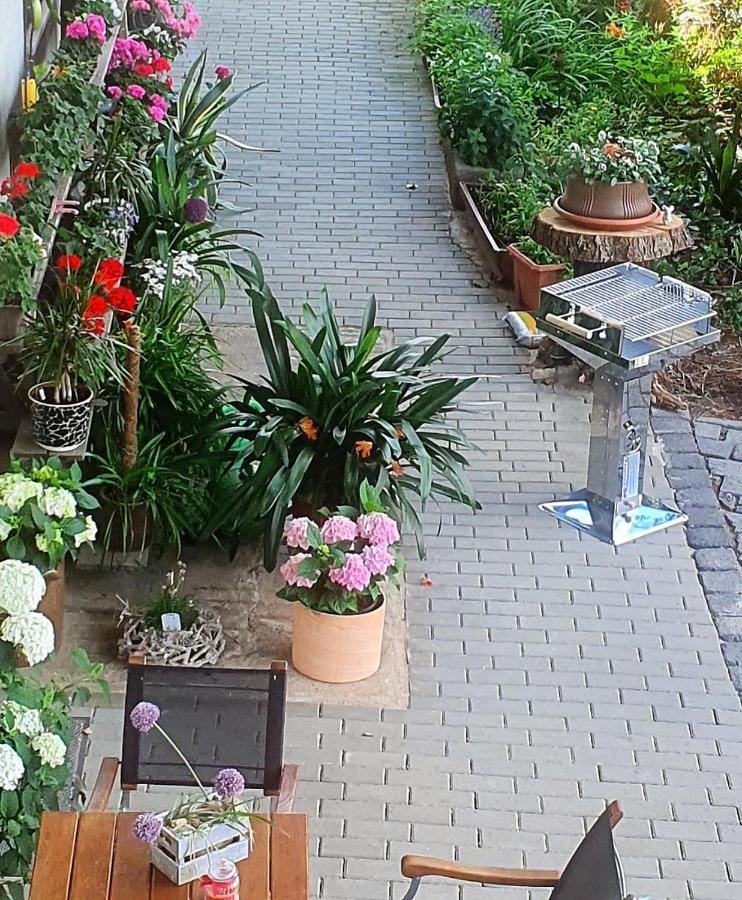 Ferienwohnung Burggraf Apartment Lutherstadt Eisleben